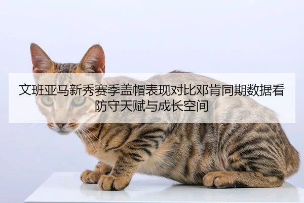 文班亚马新秀赛季盖帽表现对比邓肯同期数据看防守天赋与成长空间